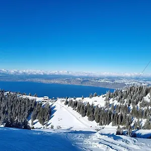 Typique De Montagne Appartement Thollon-les-Mémises